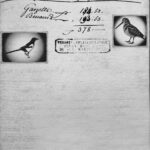 5f9dce60-9ace-42fd-af53-ada152377bda