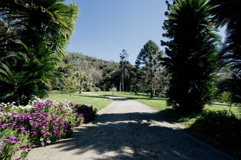 Giardino Inglese_Reggia di Caserta_Foto di Marco Ferraro