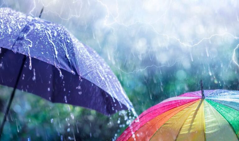 copertina-wordpress-2024-06-04T085328.948-780x462