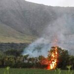 tifata-incendio-sanprisco
